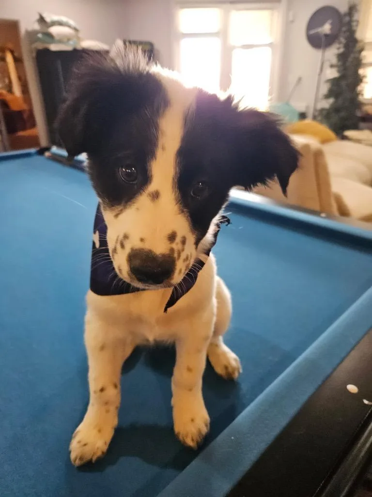 Tamanique thumbnail 2