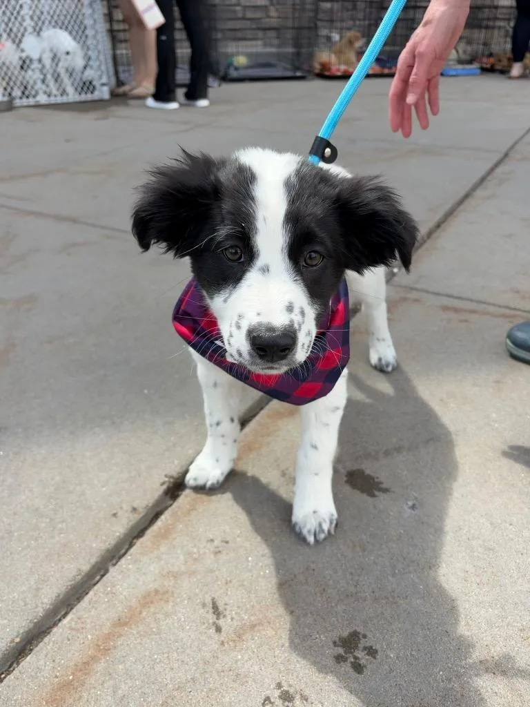 Tamanique thumbnail 3