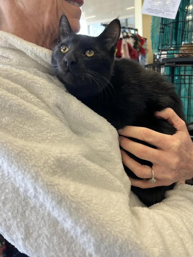 Miss Magoo thumbnail 4