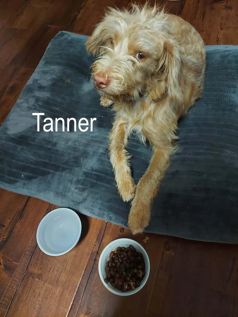 Tanner  a sweet thumbnail 4