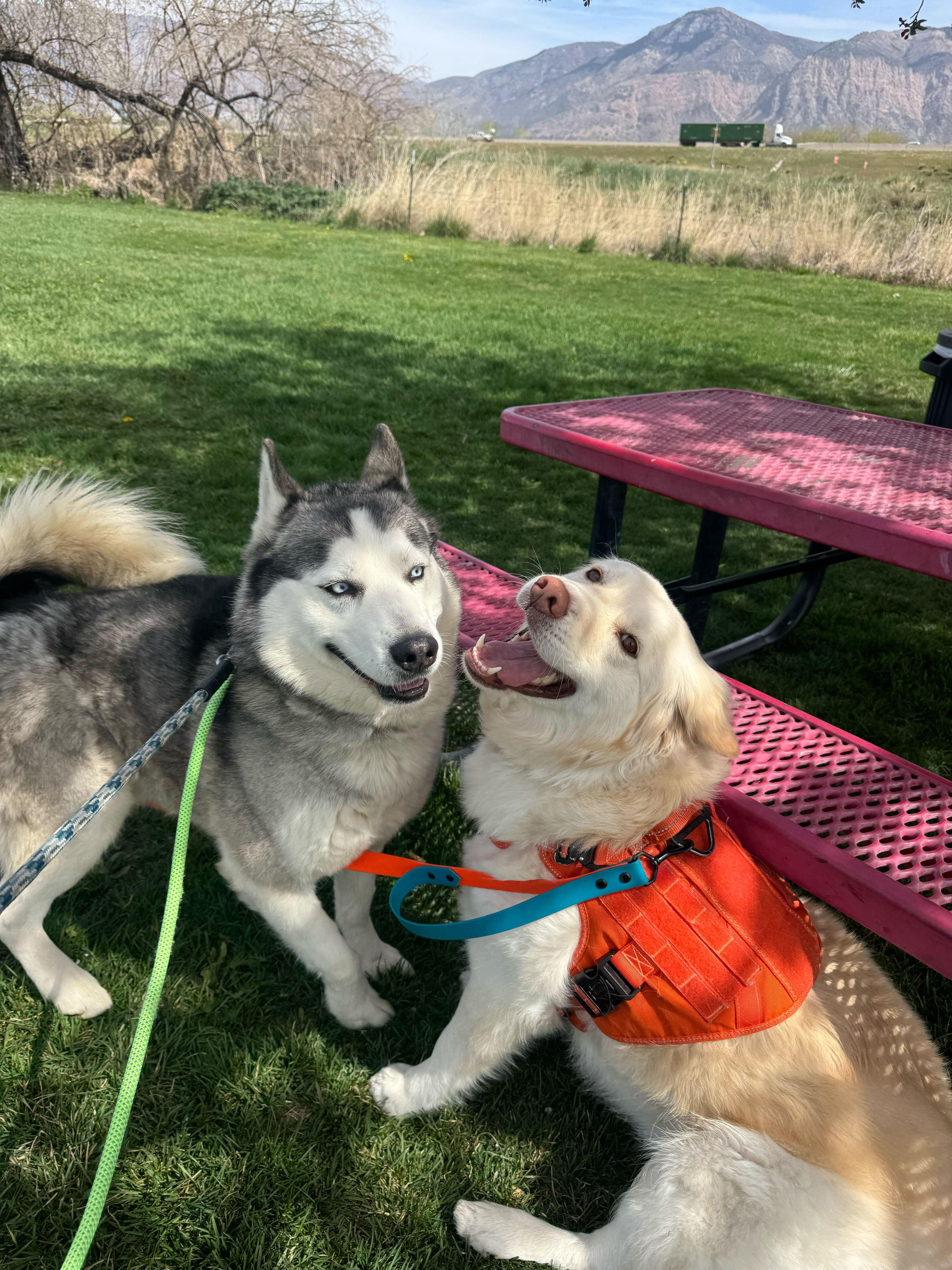 Rocky Fka Orion thumbnail 4