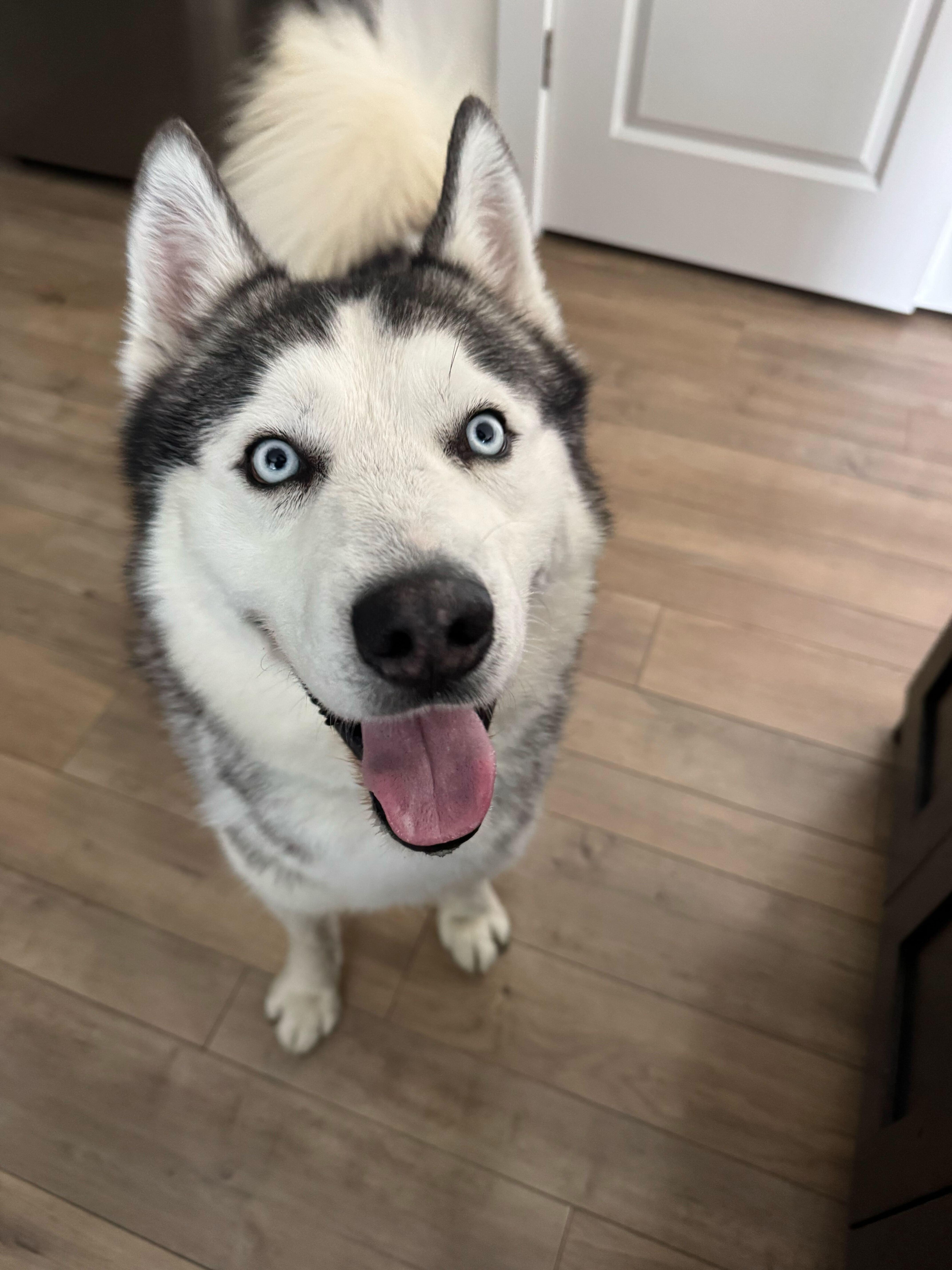 Rocky Fka Orion thumbnail 5