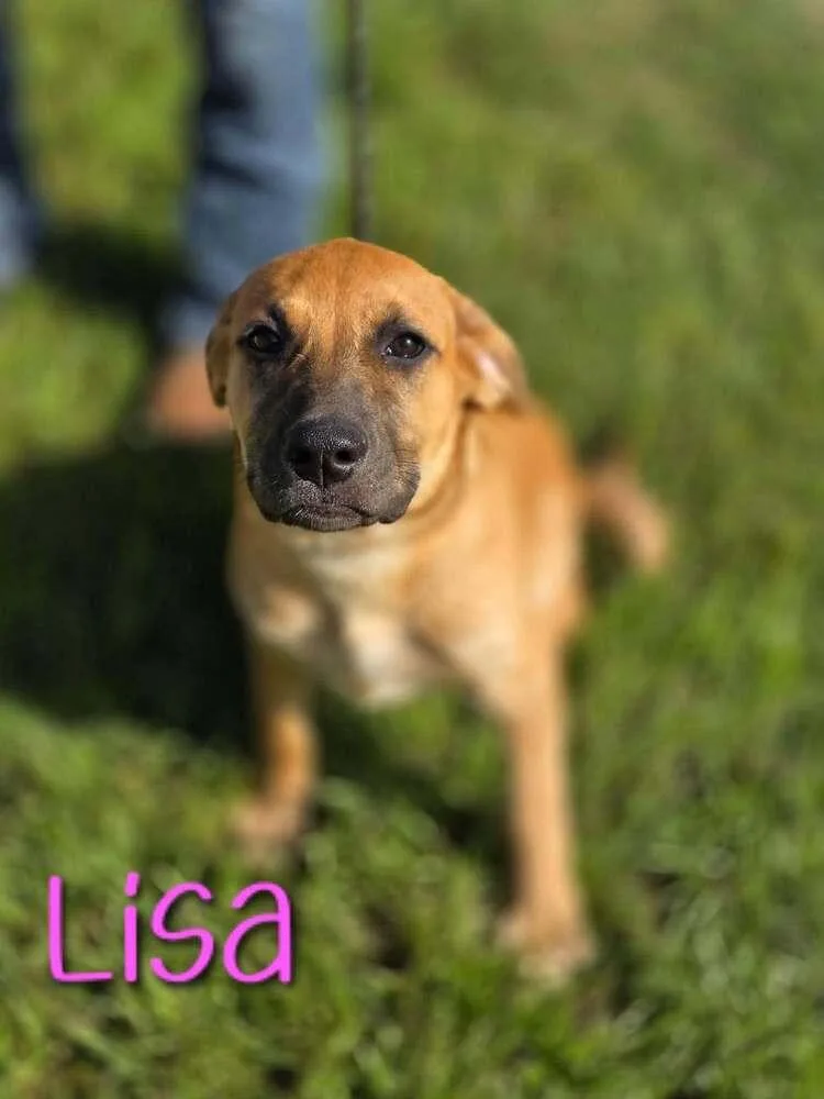 Lisa thumbnail 3