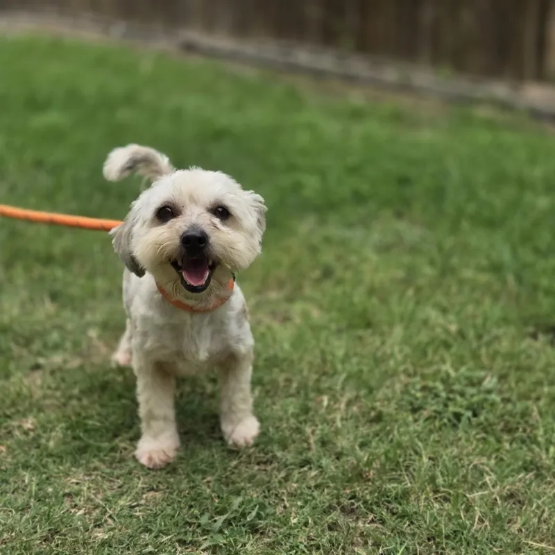 Andy thumbnail 3