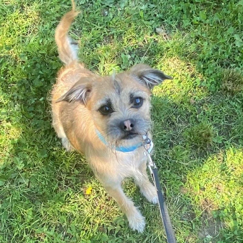 Milo