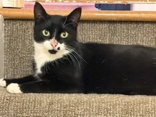 Loretta: A Young Country thumbnail 2