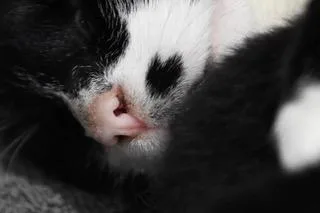 Loretta: A Young Country thumbnail 4