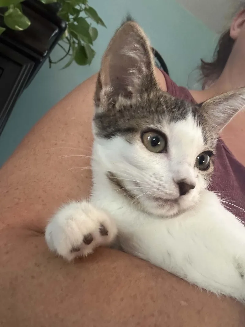 Bobby thumbnail 3