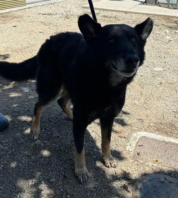 Max