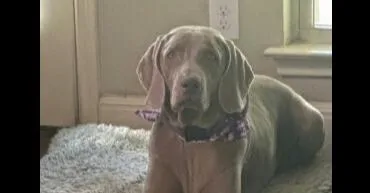 Molly Sa thumbnail 3