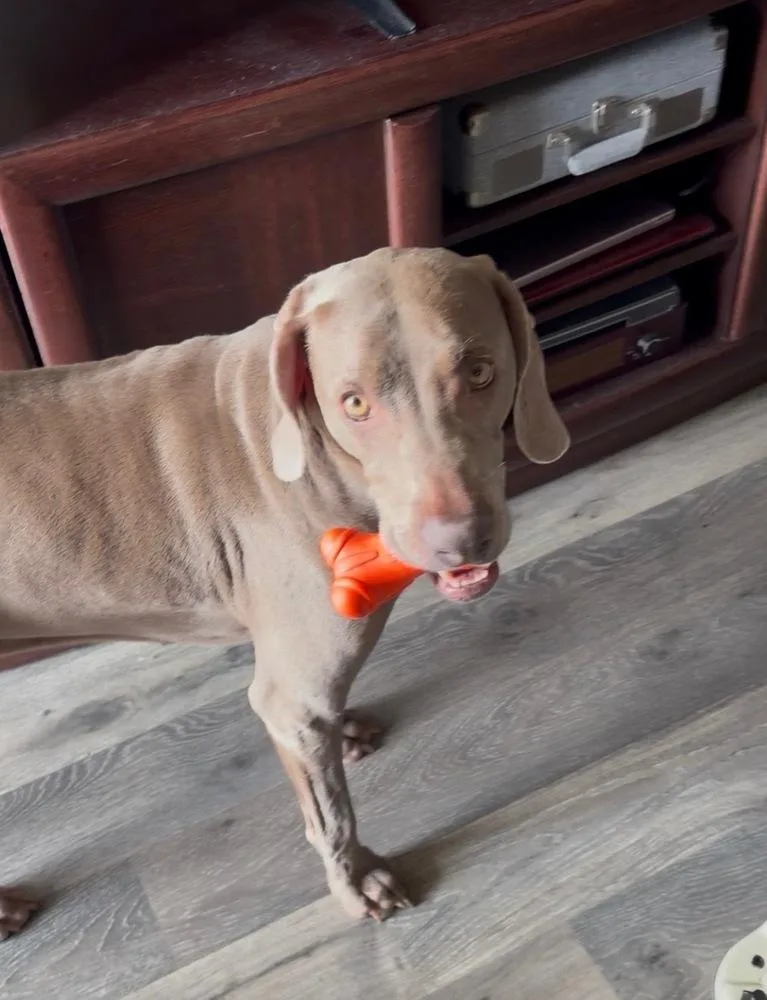 Molly Sa thumbnail 4
