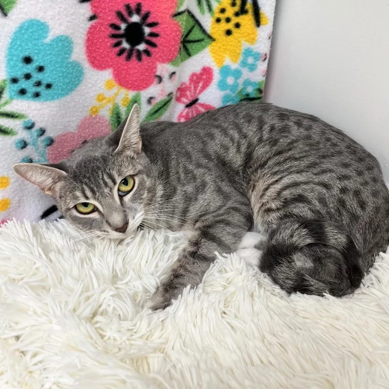 Tammy  Meili thumbnail 2