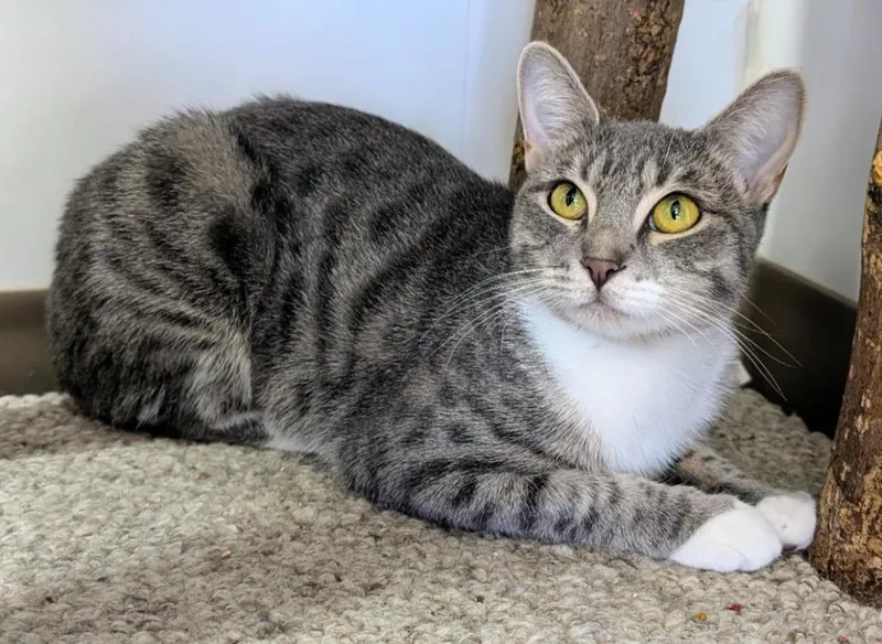 Tammy  Meili thumbnail 4