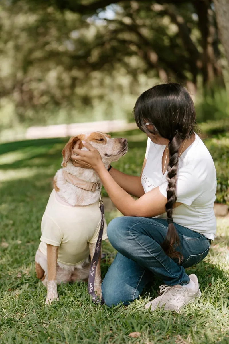 Biscuit thumbnail 4