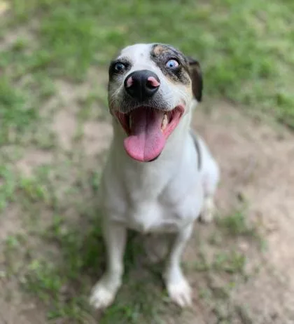 Happy Hades thumbnail 2