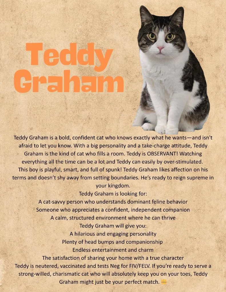 Teddy Graham thumbnail 2