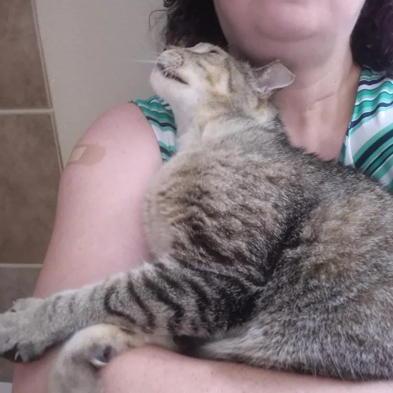 Tigger thumbnail 5
