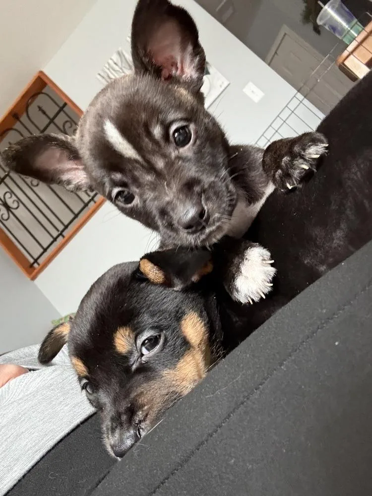 Francesca thumbnail 5