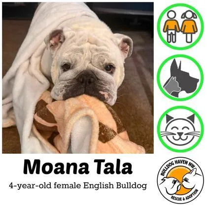 Moana Tala thumbnail 2