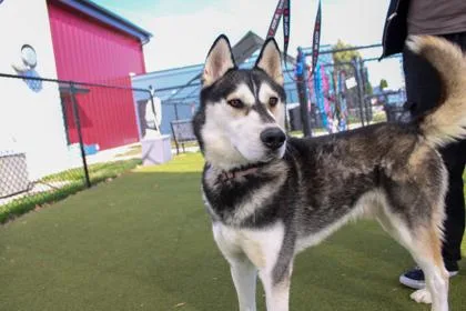 Fernando thumbnail 2