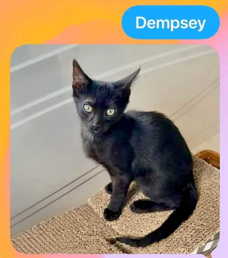 Dempsey  Darby  thumbnail 2