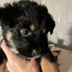 Katie thumbnail 5