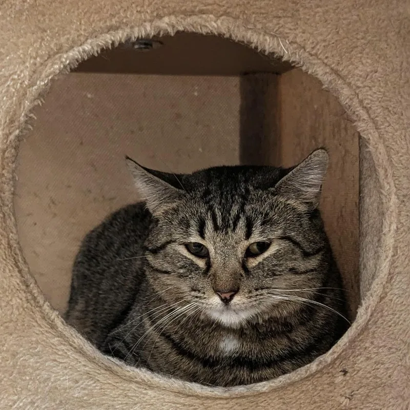 Mama Fern thumbnail 2