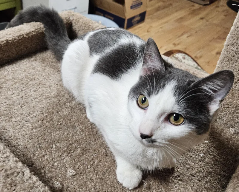 Tabithafriendly! thumbnail 2