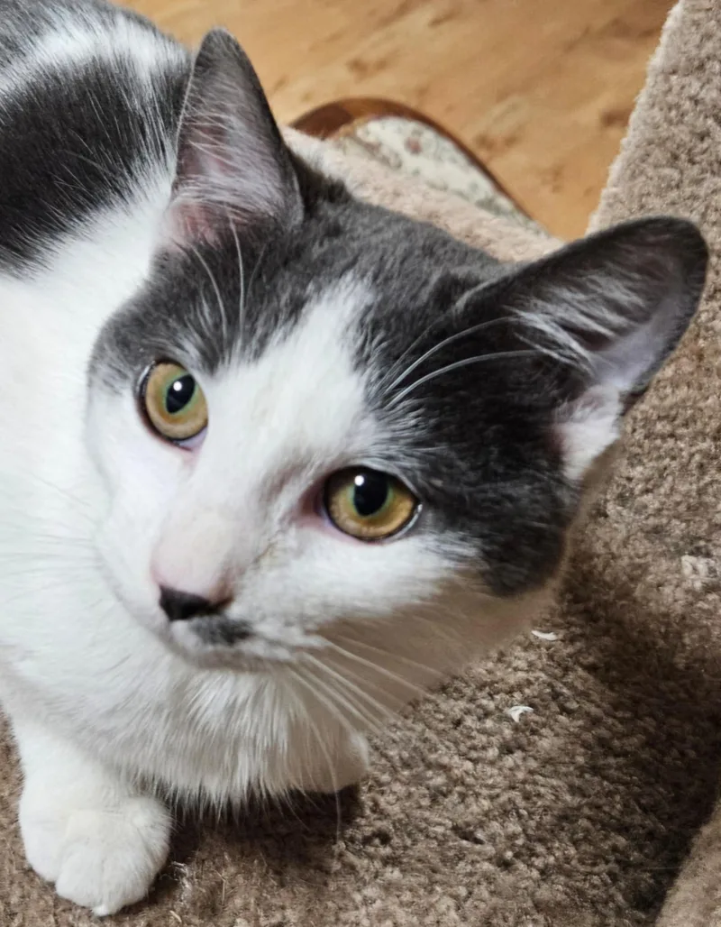 Tabithafriendly! thumbnail 3