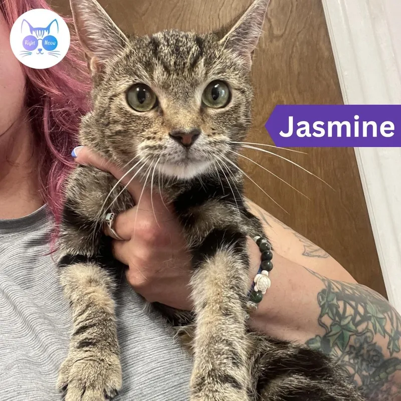 Jasmine thumbnail 2