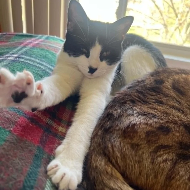 Moochie thumbnail 2