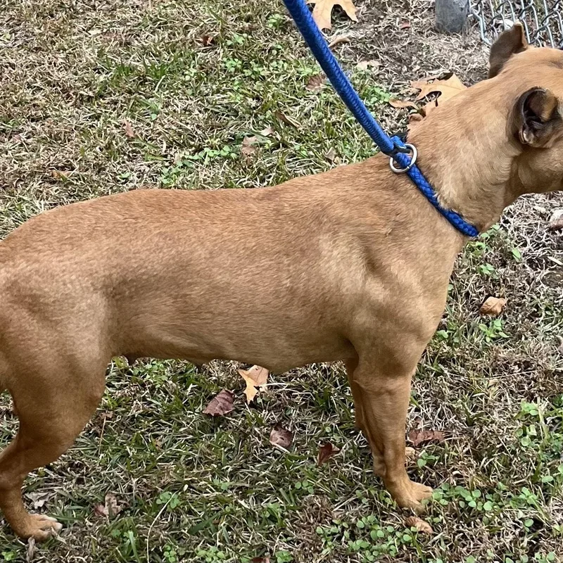 Noelle  A Precious thumbnail 5