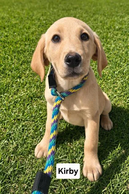 Kirby