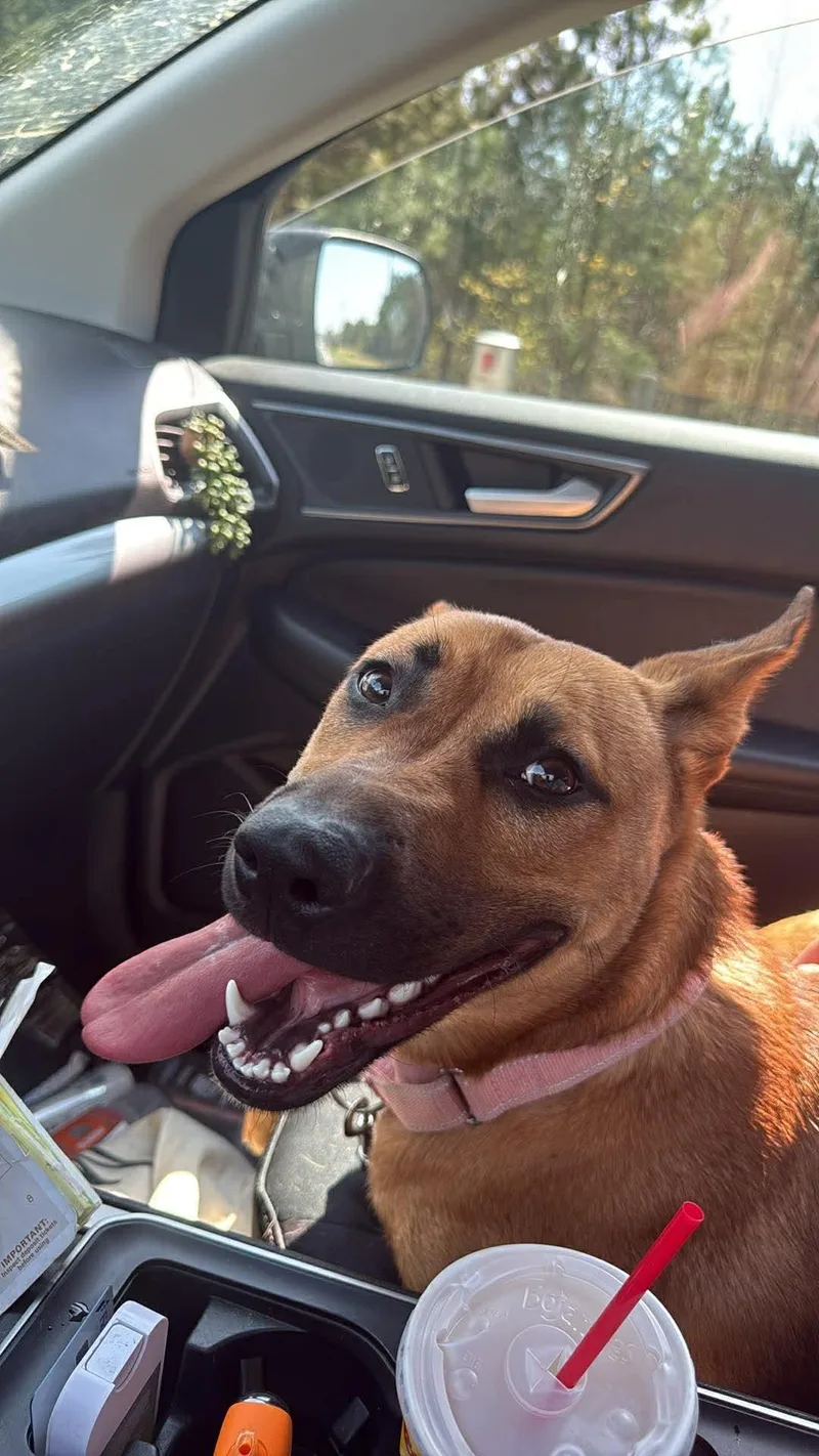 Miss Marley thumbnail 2