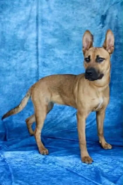 Miss Marley thumbnail 3