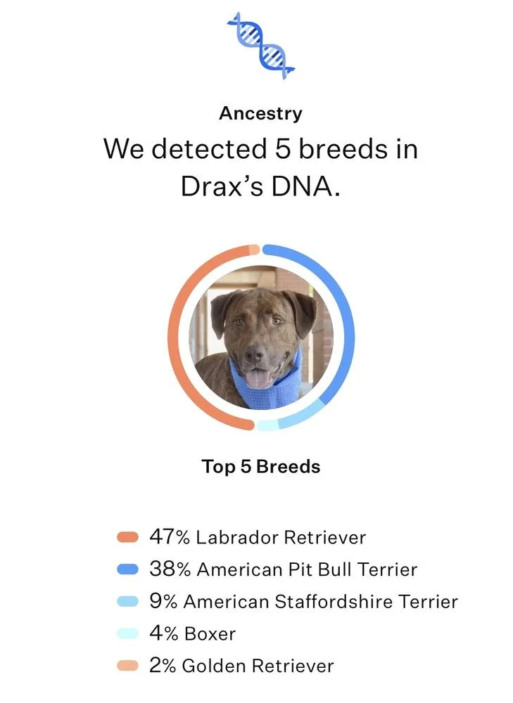 Drax thumbnail 3