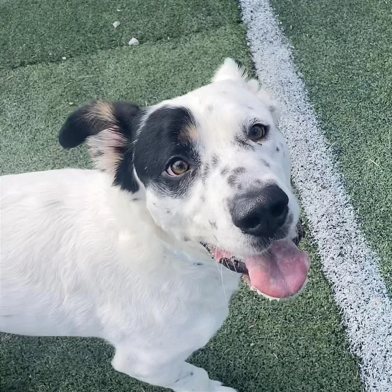 Priority thumbnail 2