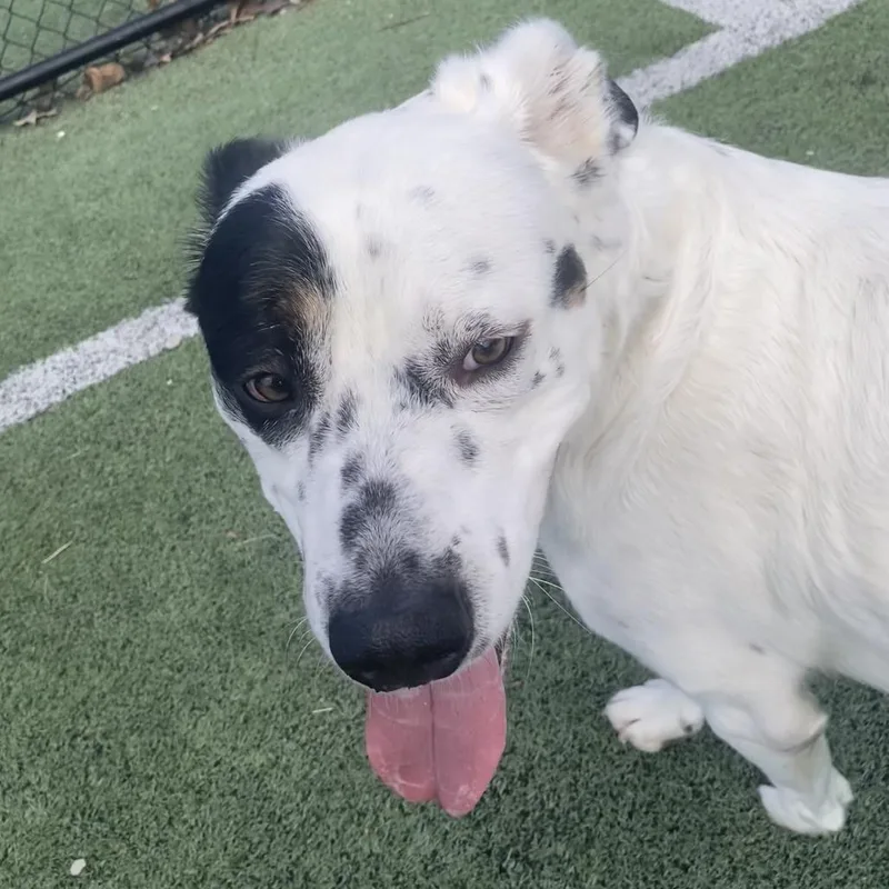 Priority thumbnail 3