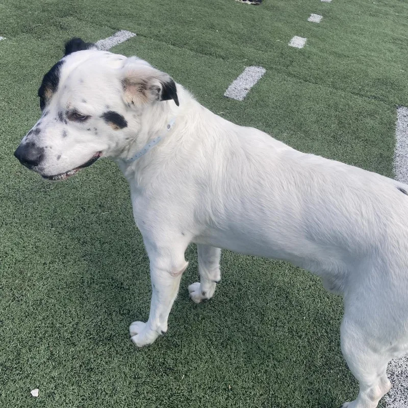 Priority thumbnail 6