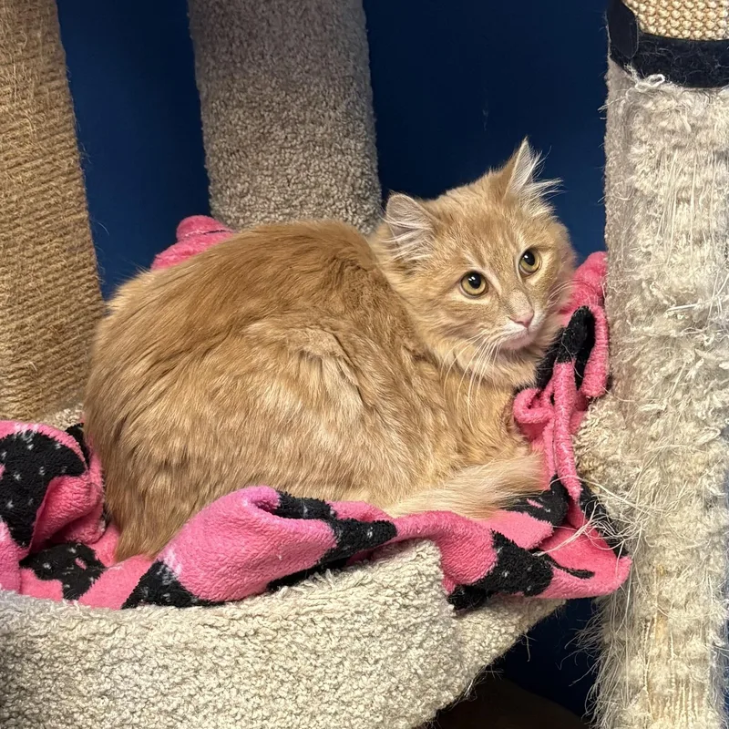 Mcdreamy thumbnail 3