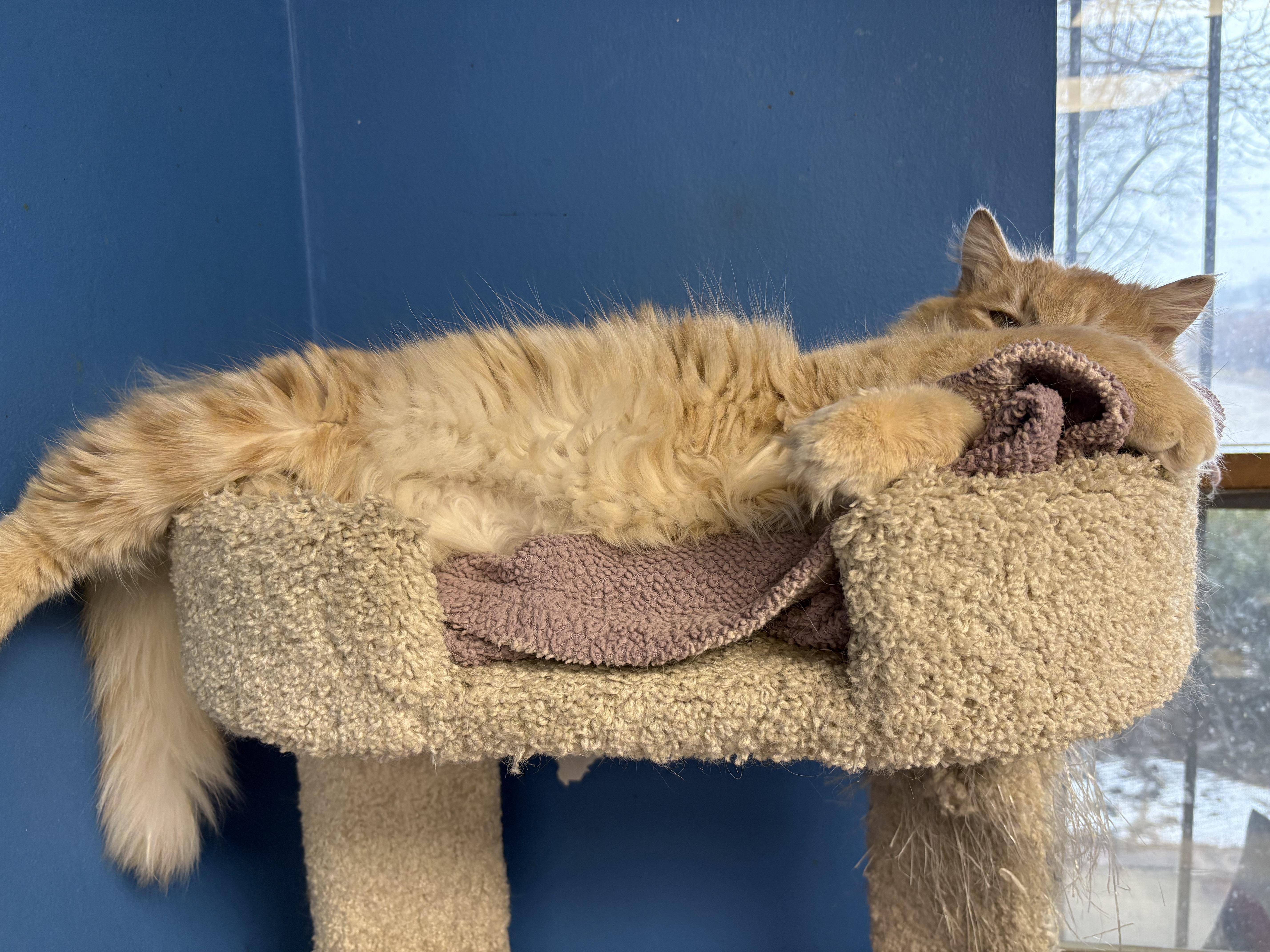 Mcdreamy thumbnail 5