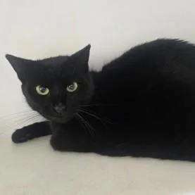 Raspberry thumbnail 2