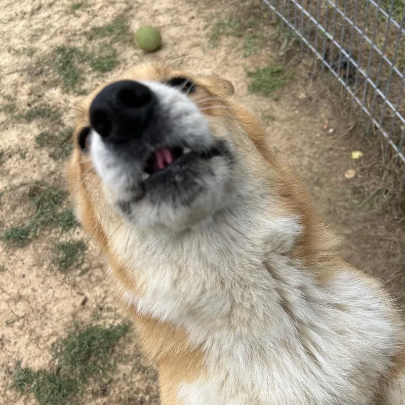 Loki thumbnail 2