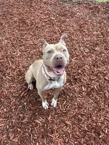 Chloe
