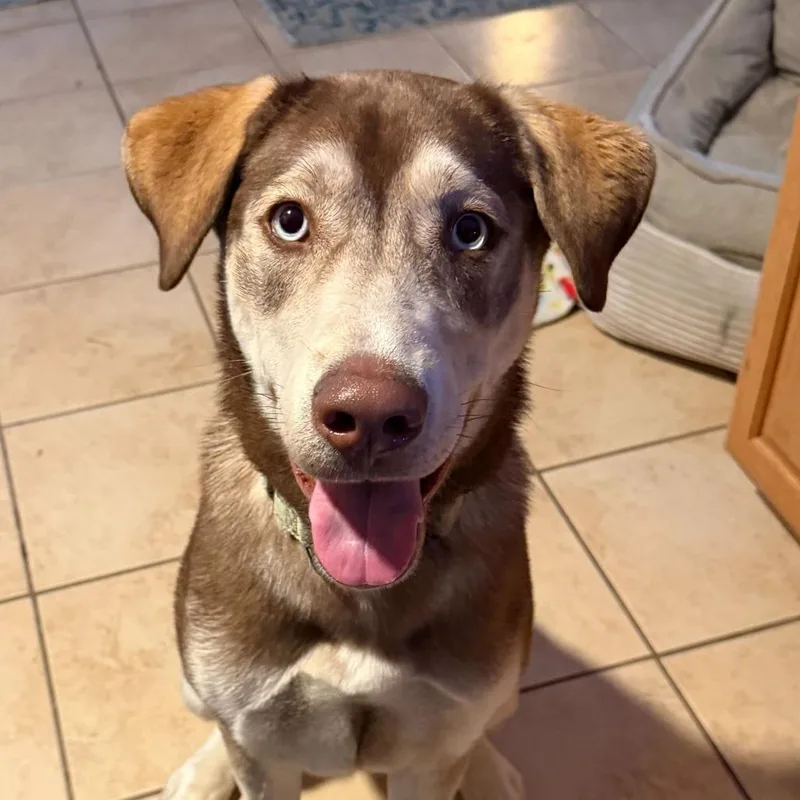 Junie Fc thumbnail 2