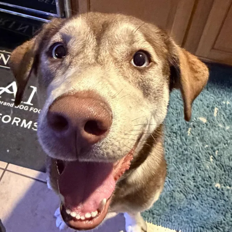 Junie Fc thumbnail 5