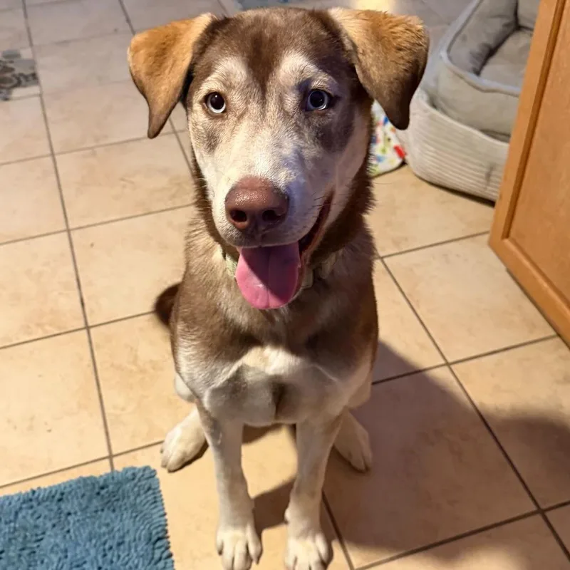 Junie Fc thumbnail 6