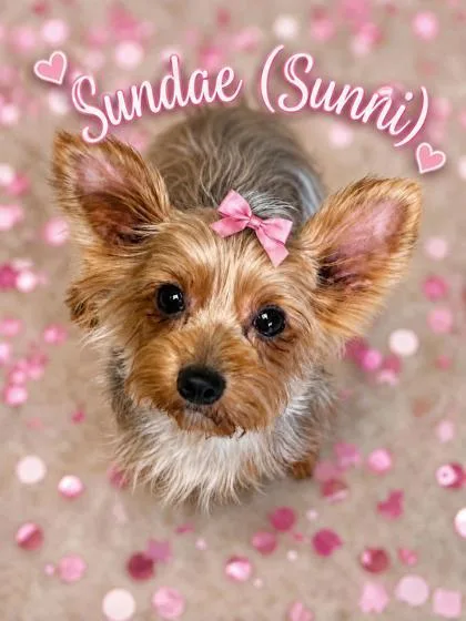 Sundae