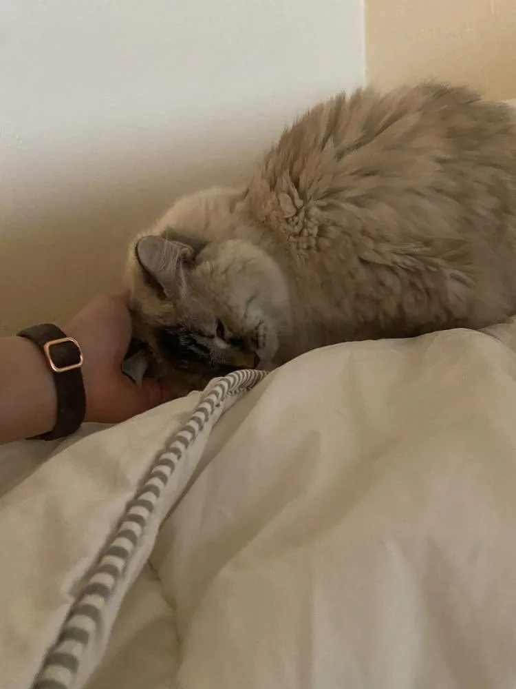 Jada thumbnail 2