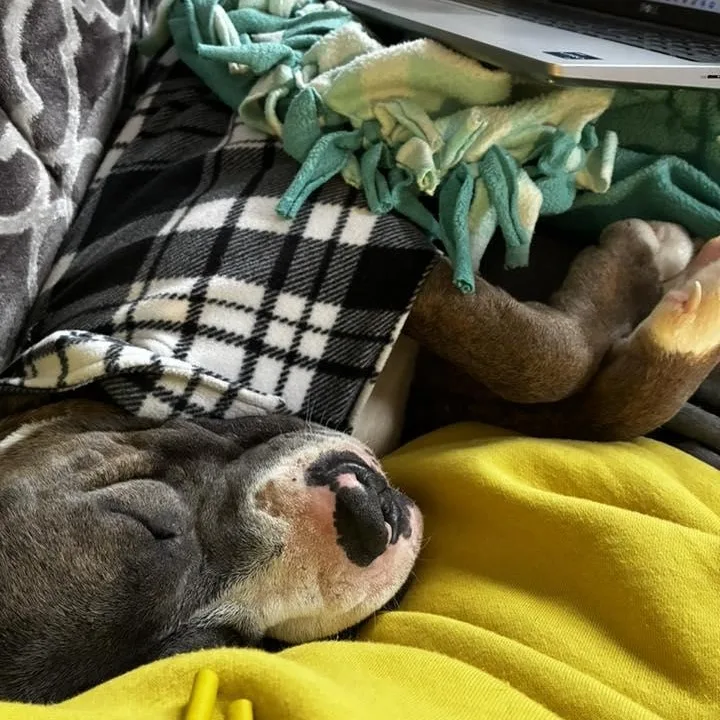 Mikey Urgent! thumbnail 3